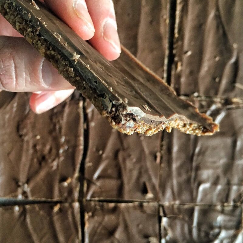 Chocolate Energy Bites