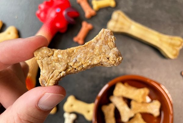 Hondenkoekjes