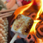Kampvuurtje Marshmallows Roosteren - SterkInDeKeuken