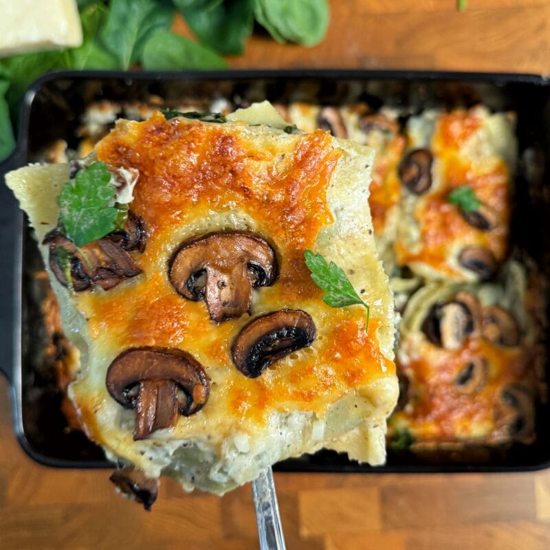 Lasagne Funghi